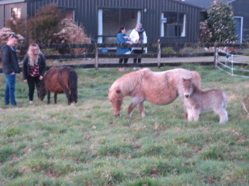 Franz Country House Esterno foto